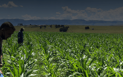 ASG supports development of new BBBEE Agri Project in the Eastern Cape